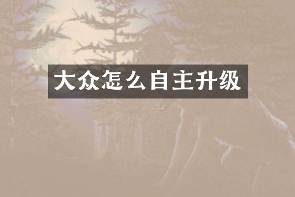 大众怎么自主升级