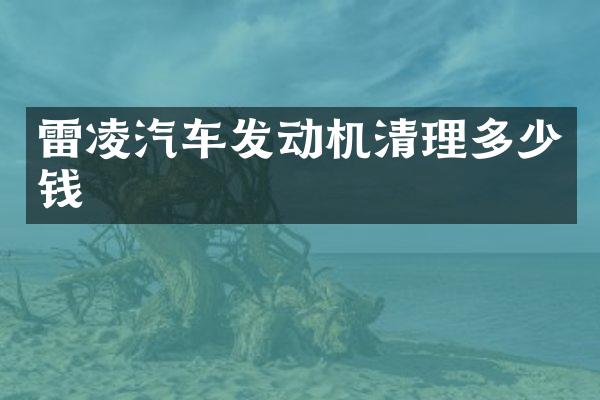 雷凌汽车发动机清理多少钱