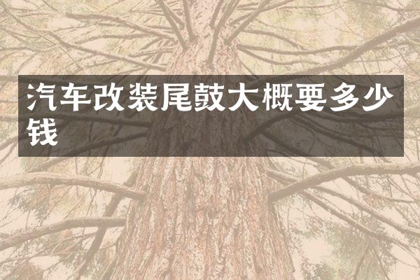 汽车改装尾鼓大概要多少钱