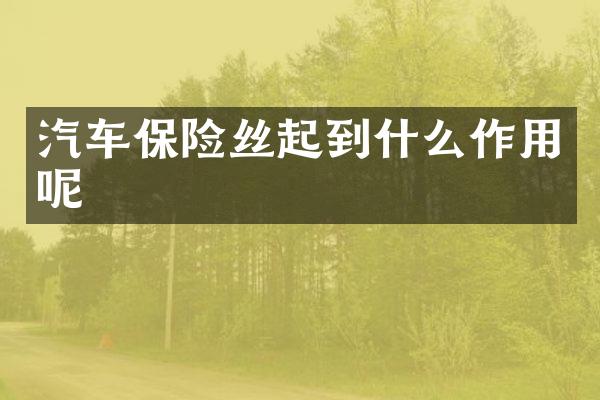 汽车保险丝起到什么作用呢