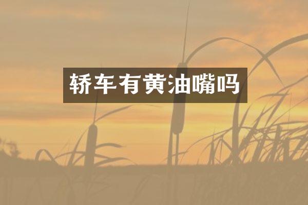 轿车有黄油嘴吗