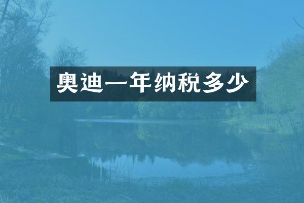 奥迪一年纳税多少