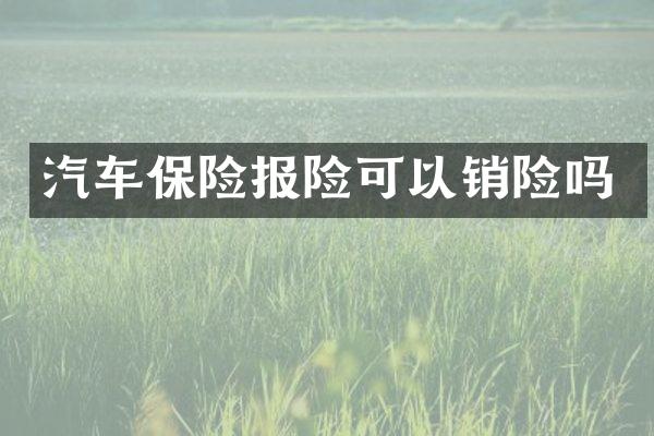 汽车保险报险可以销险吗