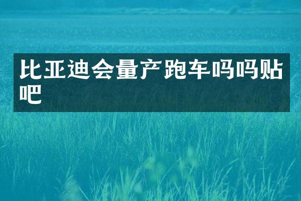 比亚迪会量产跑车吗吗贴吧
