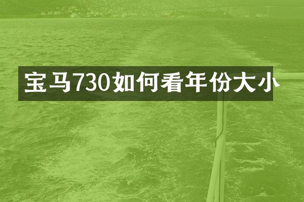 宝马730如何看年份大小