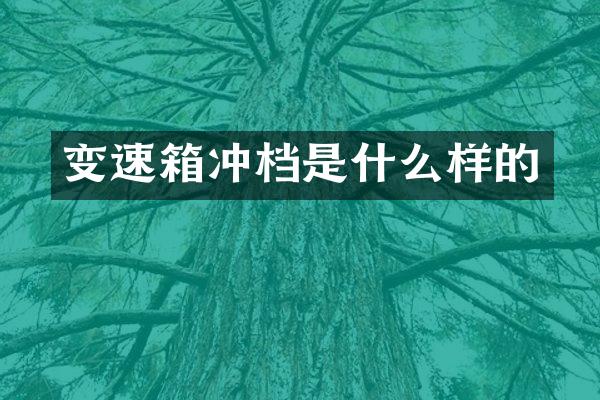 变速箱冲档是什么样的