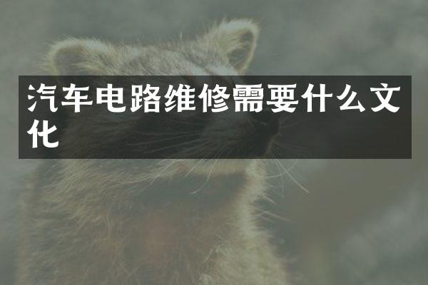 汽车电路维修需要什么文化