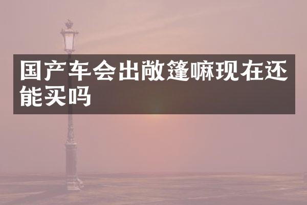 国产车会出敞篷嘛现在还能买吗