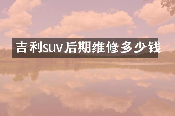 吉利suv后期维修多少钱