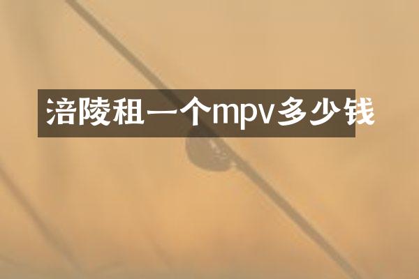 涪陵租一个mpv多少钱