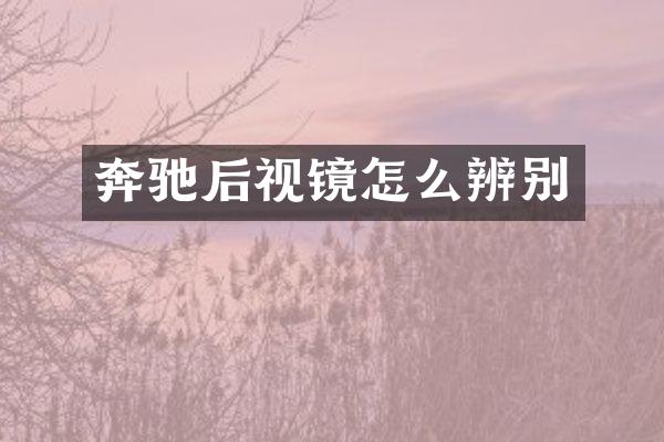 奔驰后视镜怎么辨别