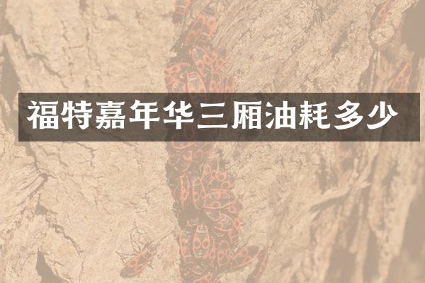 福特嘉年华三厢油耗多少