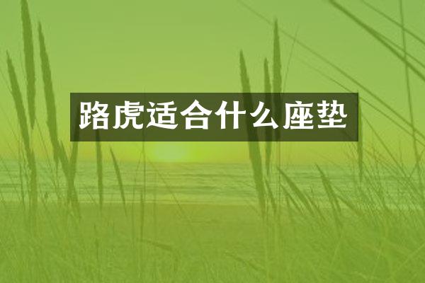 路虎适合什么座垫