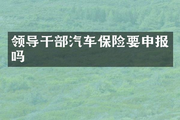 领导干部汽车保险要申报吗