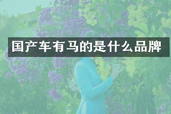 国产车有马的是什么品牌
