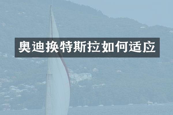 奥迪换特斯拉如何适应