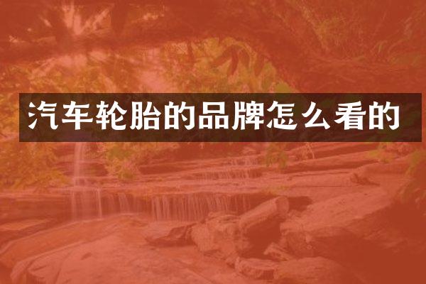 汽车轮胎的品牌怎么看的