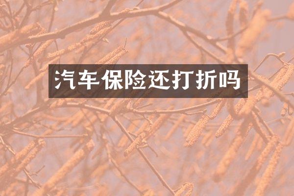 汽车保险还打折吗