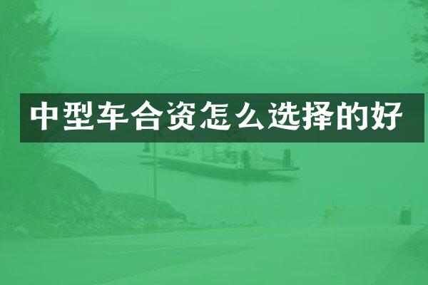 中型车合资怎么选择的好