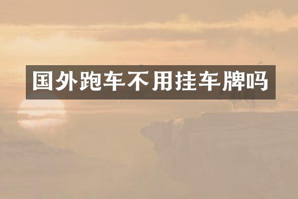 国外跑车不用挂车牌吗