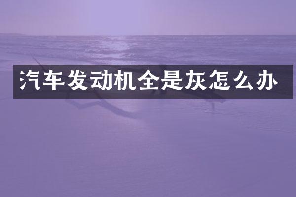 汽车发动机全是灰怎么办