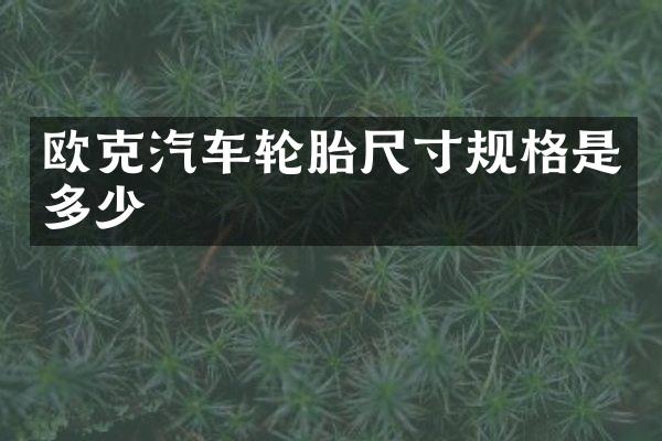 欧克汽车轮胎尺寸规格是多少