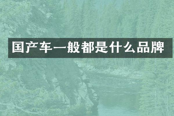 国产车一般都是什么品牌
