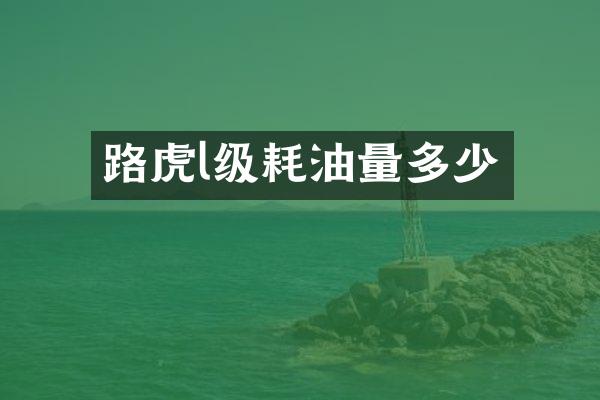 路虎l级耗油量多少