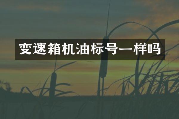 变速箱机油标号一样吗