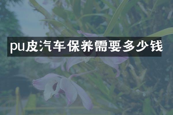 pu皮汽车保养需要多少钱