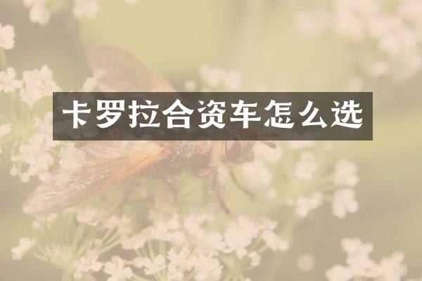 卡罗拉合资车怎么选