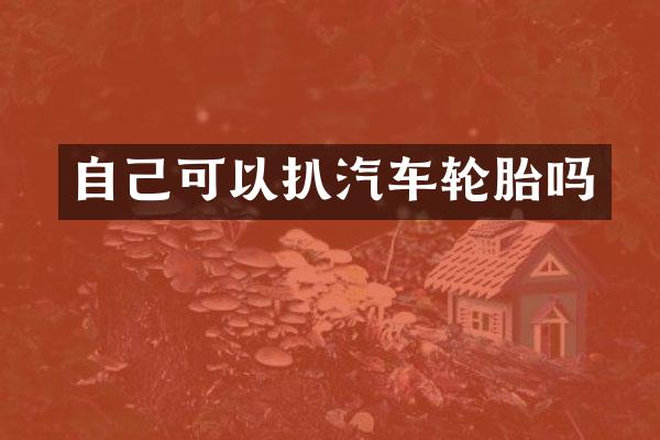 自己可以扒汽车轮胎吗