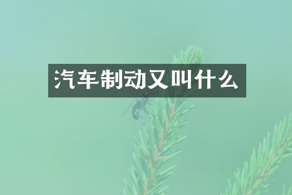 汽车制动又叫什么