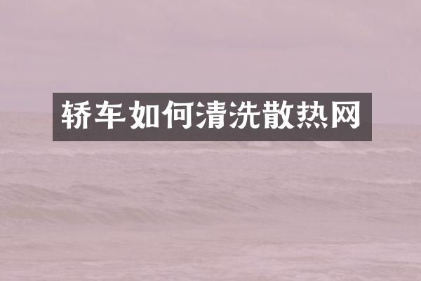 轿车如何清洗散热网