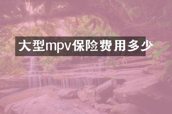 大型mpv保险费用多少