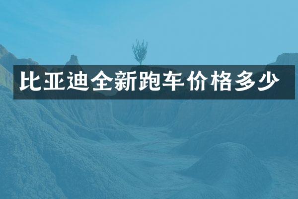 比亚迪全新跑车价格多少