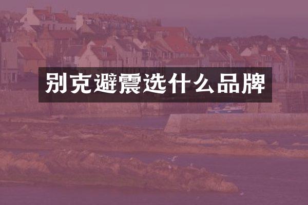 别克避震选什么品牌