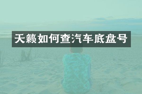 天籁如何查汽车底盘号