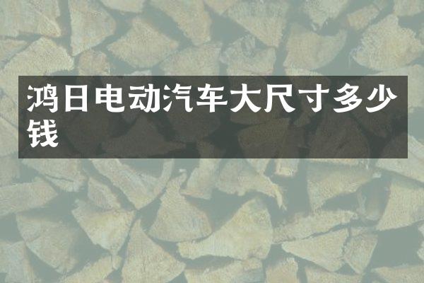 鸿日电动汽车大尺寸多少钱