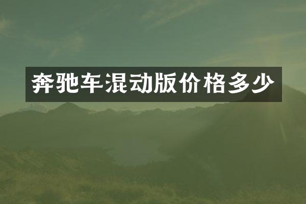 奔驰车混动版价格多少