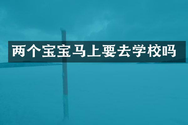 两个宝宝马上要去学校吗