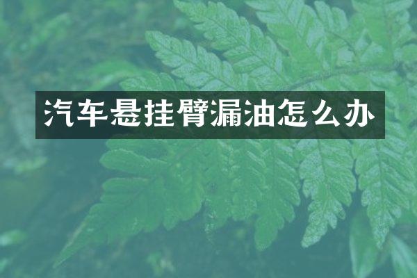汽车悬挂臂漏油怎么办