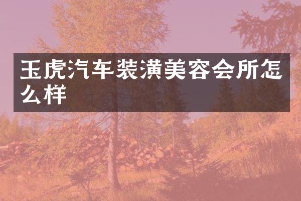 玉虎汽车装潢美容会所怎么样