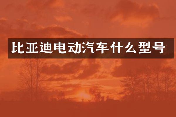 比亚迪电动汽车什么型号