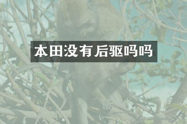 本田没有后驱吗吗