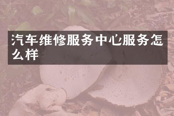 汽车维修服务中心服务怎么样