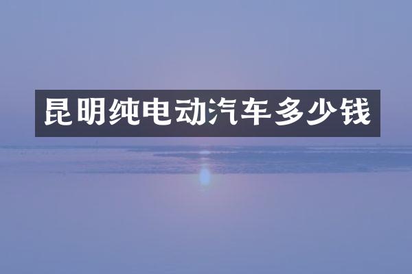 昆明纯电动汽车多少钱