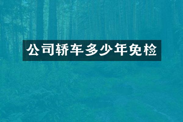 公司轿车多少年免检
