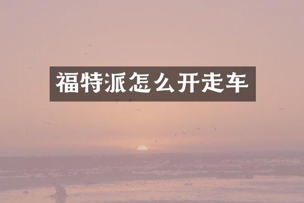 福特派怎么开走车