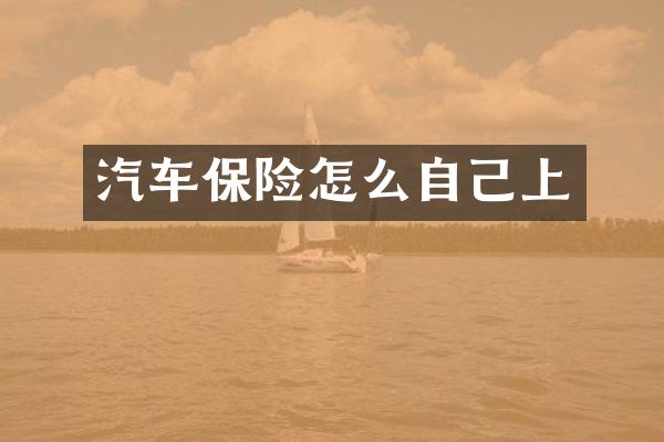 汽车保险怎么自己上